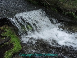 This is shooting the camera at its default settings, where it's going to try to keep the shutter speed fairly high to avoid blur. Nikon Coolpix P7700, ISO 80, shutter speed 1/125 at f/2.8. Photo copyright Reed Hoffmann.