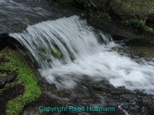 By putting the camera in Aperture Priority, I was able to close the aperture to its smallest setting, f/5.6 with this compact camera, to get a slower shutter speed.  Nikon Coolpix P7700, ISO 80, 1/30 at f/5.6. Photo copyright Reed Hoffmann.