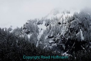 Our first stop was to shoot the fresh snow coating the hillsides. Believe it or not, this is a color photo. There just wasn't any in this scene. Shot with a Nikon D800, Aperture Priority, ISO 200, 1/800 at f/8, EV -0.3, 24-120mm lens at 105mm. Photo copyright Reed Hoffmann.