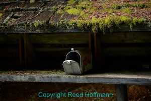 On our way back to Seattle I stomped on the brakes after driving past this mailbox, then made a quick U-turn to come back and shoot it. I loved the lonely, forlorn look it had. Shot with a Nikon D800, Aperture Priority, ISO 400, 1/30 at f/4.5, EV -2.3, 24-120mm lens at 120mm. Photo copyright Reed Hoffmann.