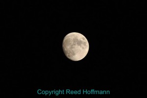 And if it's nighttime, the moon is all you'll see. Nikon D5000, Aperture Priority, ISO 400, 1/640 at f/5.6, EV -3.0, 70-300mm lens at 270. Photo copyright Reed Hoffmann.