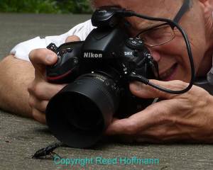 An extension tube added to a 50mm lens let me get an extreme close-up of this fella. Photo copyright Reed Hoffmann.