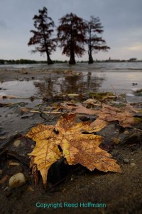 Same idea, up close to the foreground subject. D5500, Aperture Priority, ISO 400, 1/125 at f/11, EV -0.3, Nikon 10-24mm lens at 13mm. Photo copyright Reed Hoffmann.