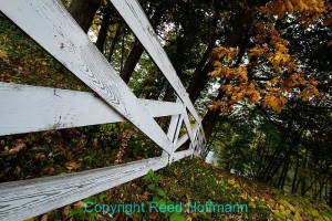 Using the lines of the fence to draw the eye to the color of the leaves. Nikon D5500, Aperture Priority, ISO 400, 1/60 at f/8, Nikon 10-24mm lens at 10mm. Photo copyright Reed Hoffmann.