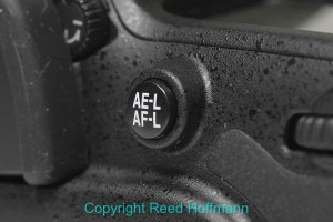 I can program my cameras to change focus activation to a button on the back, like the AE-L/AF-L button on my Nikon D7200. Photo copyright Reed Hoffmann.