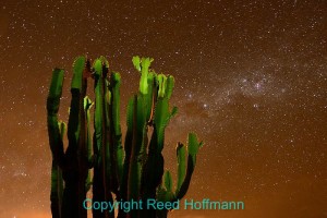 With a clear night, we decided to do a little night photography and light painting on the grounds of the hacienda we were staying at. Nikon D800, ISO 4000, 55-seconds at f/5, Nikkor 24-70mm lens at 24mm. Photo copyright Reed Hoffmann.